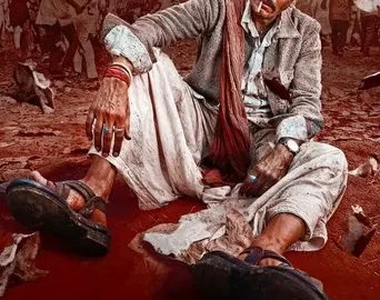 Bhaiyya Ji (2024) Hindi HD